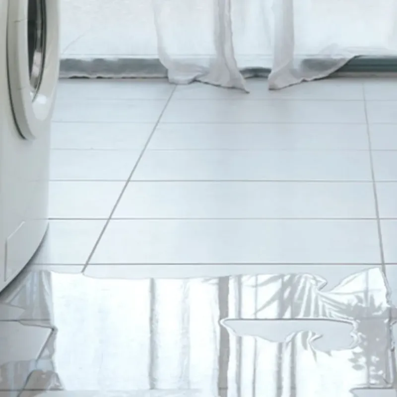 Appliance Leak Cleanup in Shelby, MI