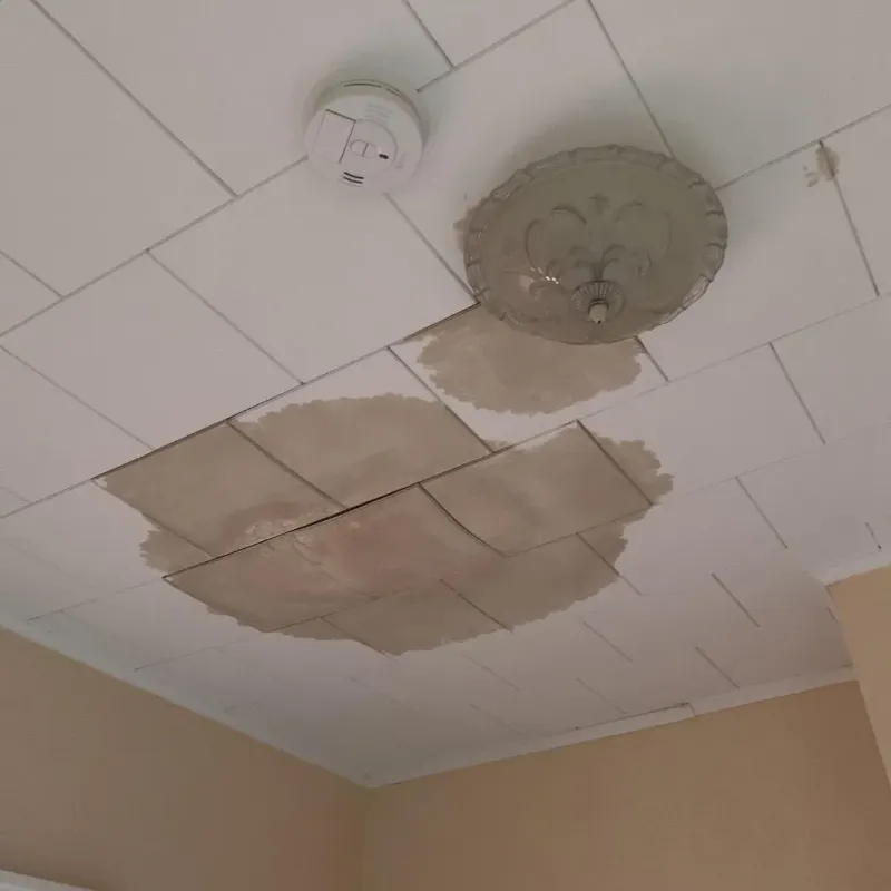 Ceiling Water Damage Repair in Shelby, MI