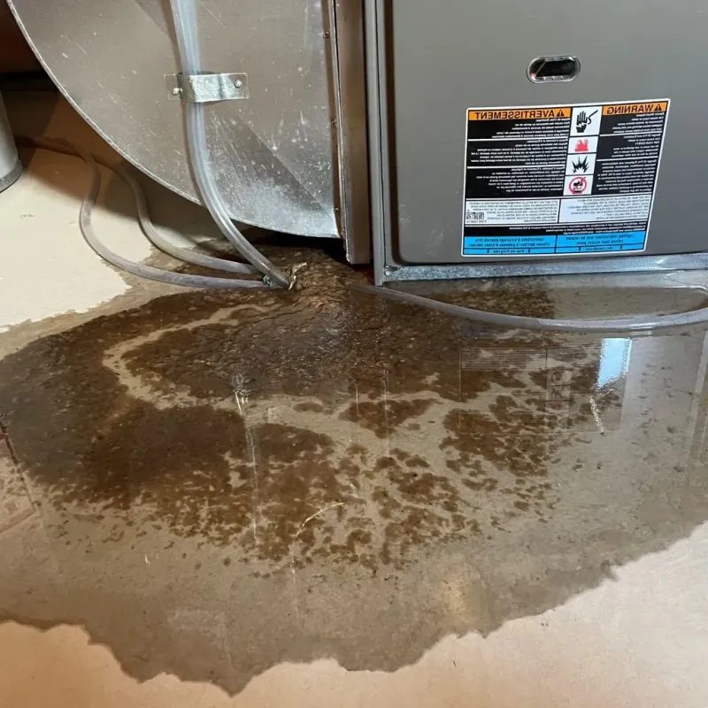 Pipe Burst and Leak Restoration in Shelby, MI