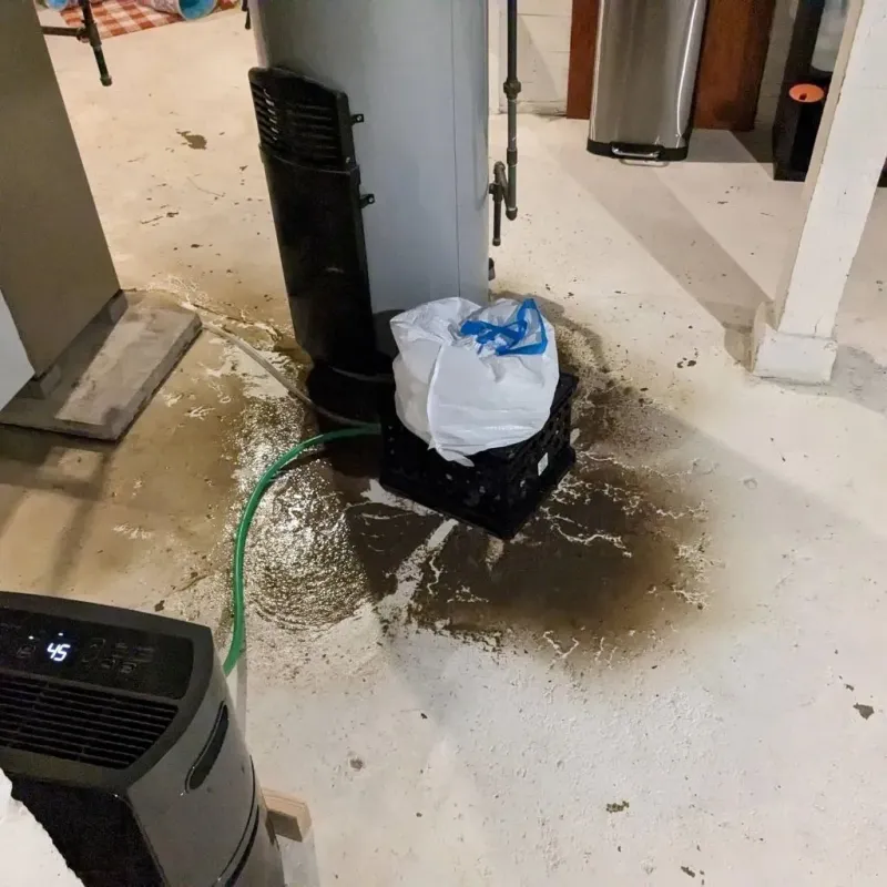 Sewage Backup Cleanup Service in Shelby, MI